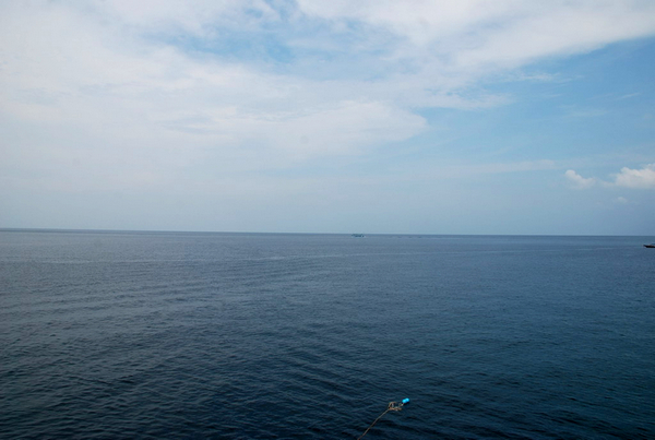 DSC_0982.JPG