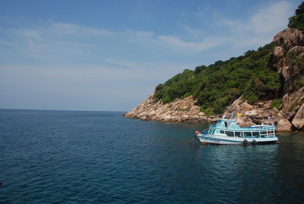 DSC_1002.JPG