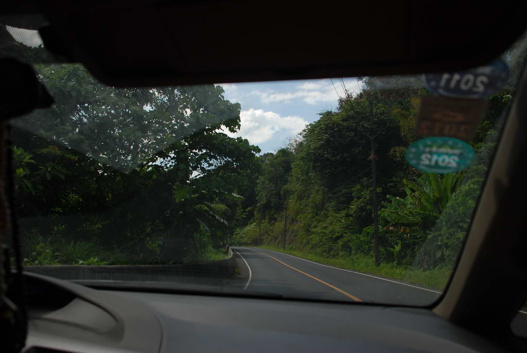 DSC_0202.JPG
