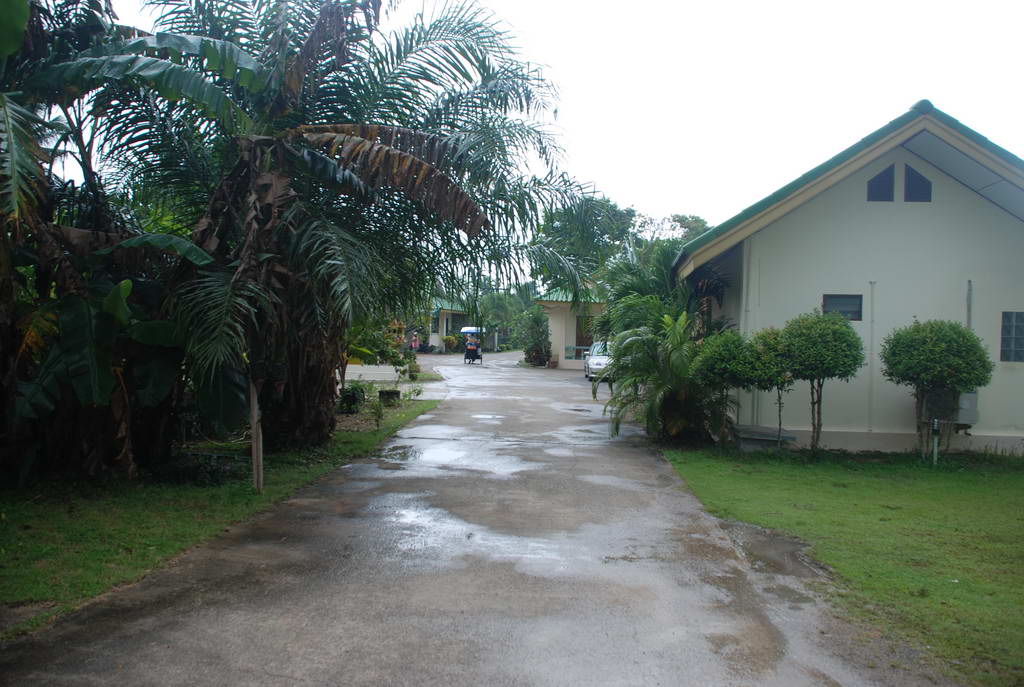 DSC_0211.JPG