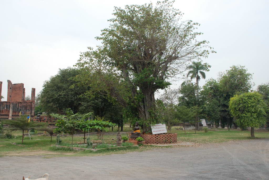 DSC_0362.JPG