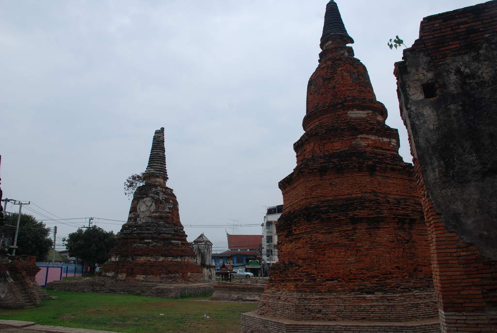 DSC_0431.JPG