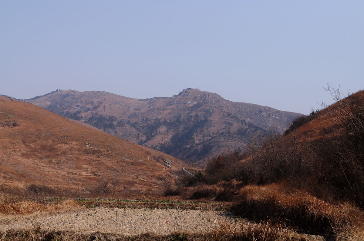 DSC_0903.JPG