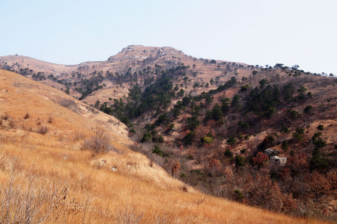 DSC_0923.JPG