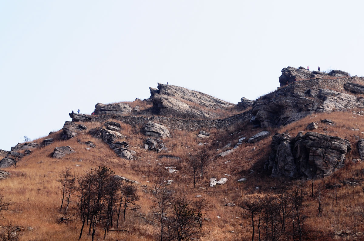 DSC_0930.JPG