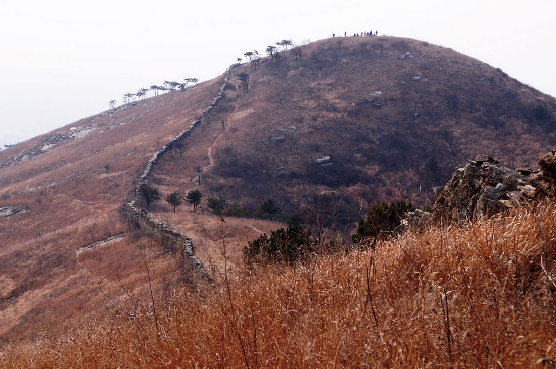 DSC_1081.JPG