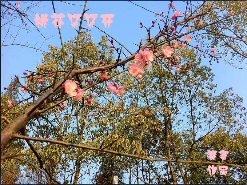һ.jpg