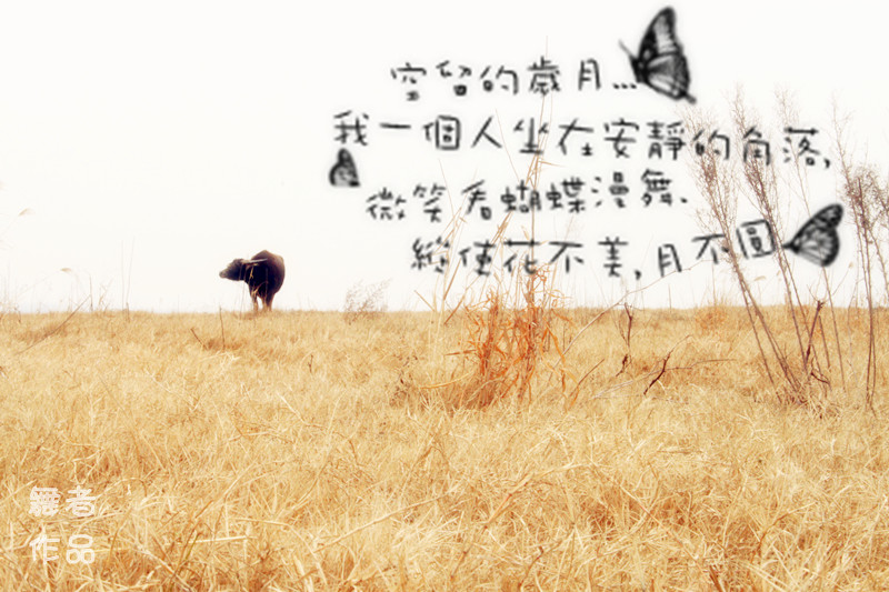 ɹ̫Сĸţ.jpg