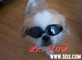 100_7584.JPG