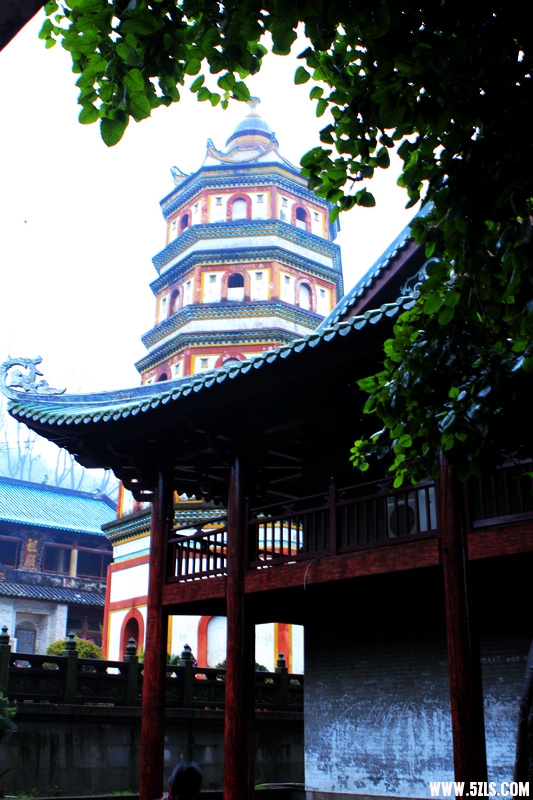 _MG_2809.jpg