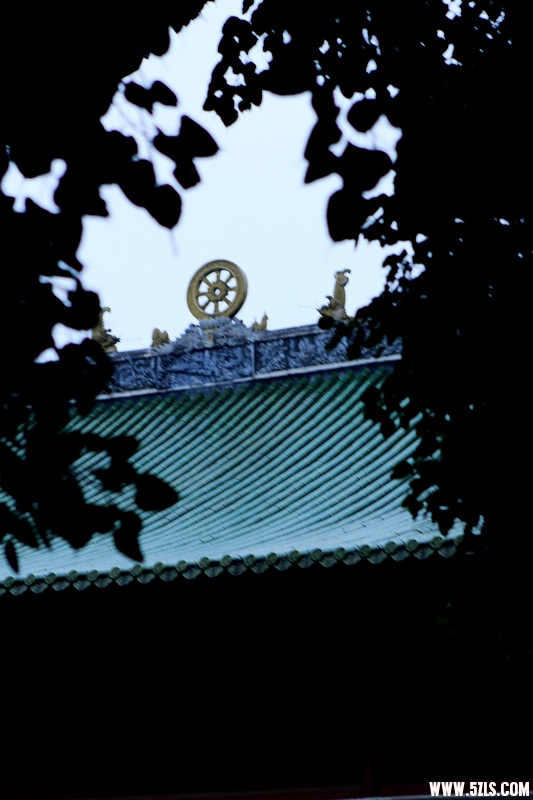 _MG_2812.jpg