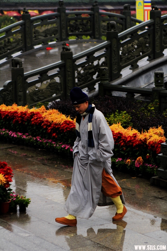 _MG_2855.jpg