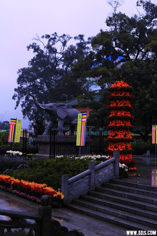 _MG_2865.jpg