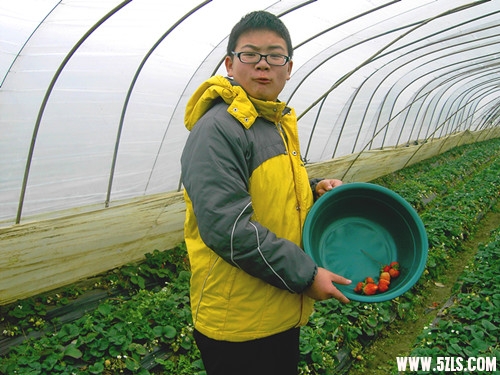 奋斗半天，颗粒可