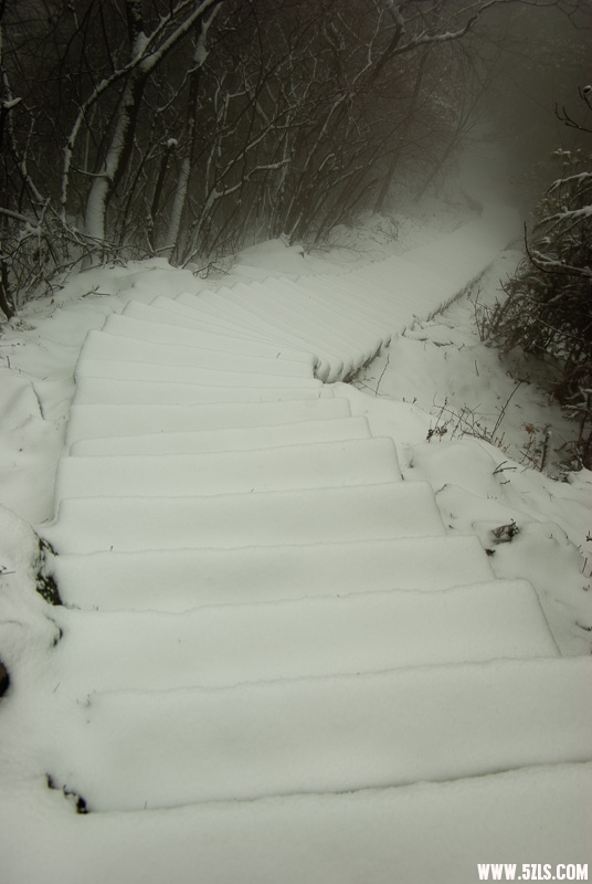20120226-IMGP4924.jpg