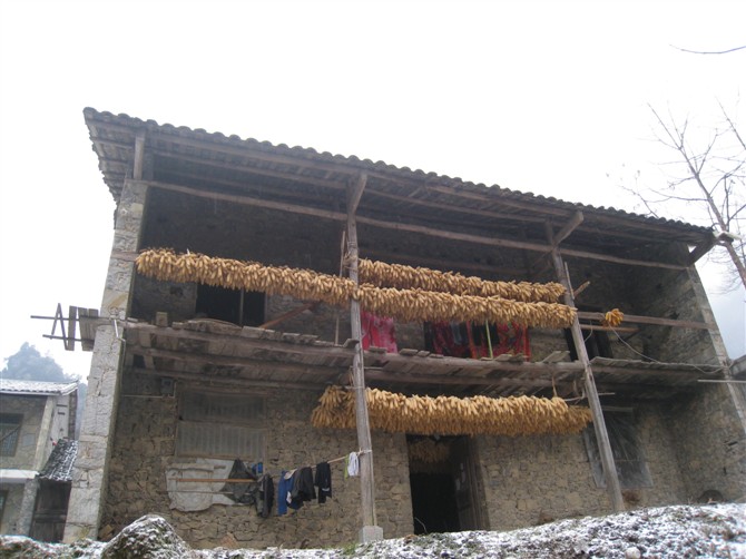 60.jpg