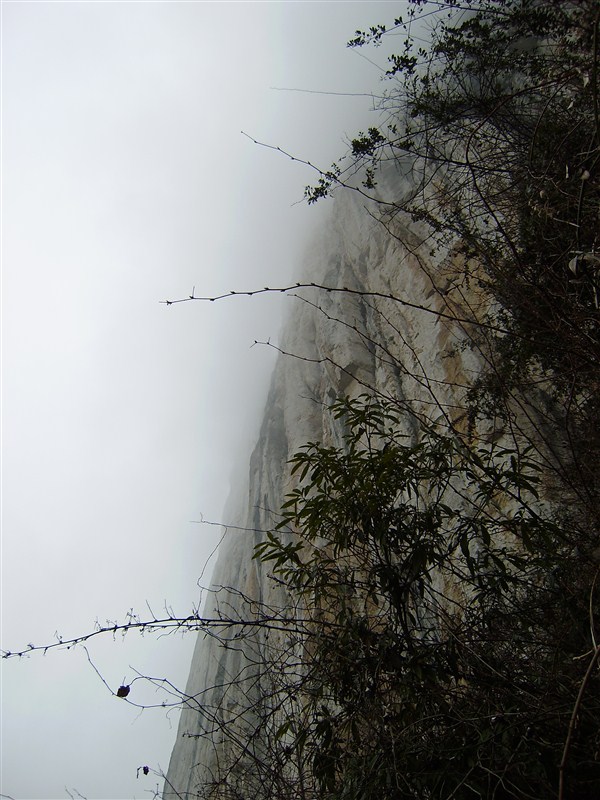 102.jpg