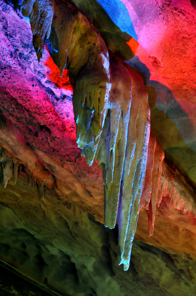 nEO_IMG_DSC_0049.jpg