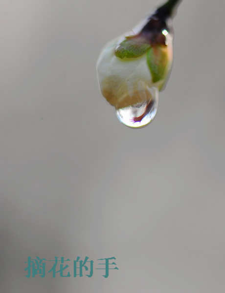 ÷ 086.jpg