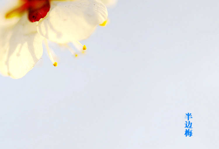÷ 052.jpg