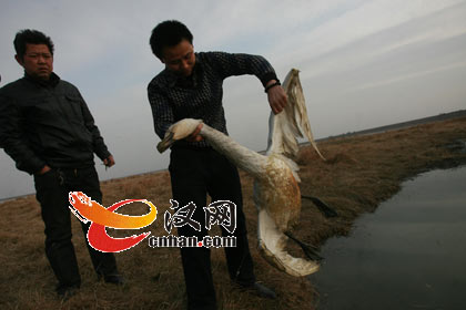 0016ec80ad57109d64da21.jpg