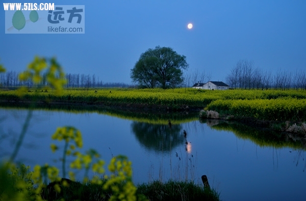 C5E72DDB-5992-1083-9A96A4CEF229E51C_600.jpg
