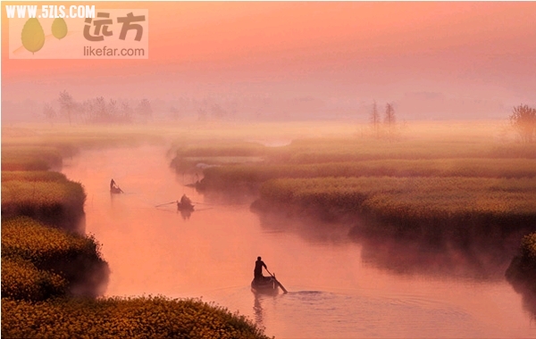 C5E72DDB-5992-1083-9A96A4CEF229E51C_600.jpg