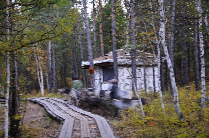 ɶ-1015.jpg