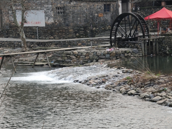 DSCN0727.JPG