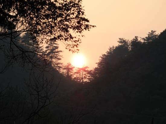 DSCN0738.JPG
