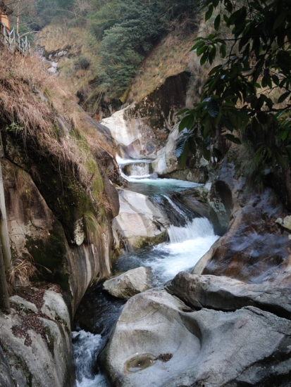 DSCN0740.JPG