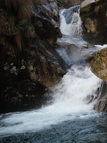 DSCN0745.JPG