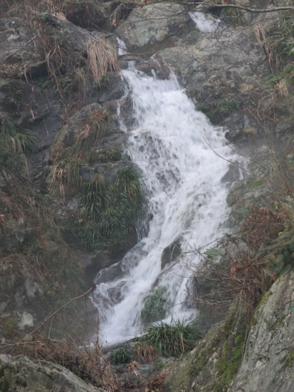 DSCN0781.JPG