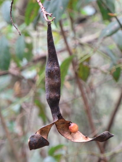 DSCN0805.JPG