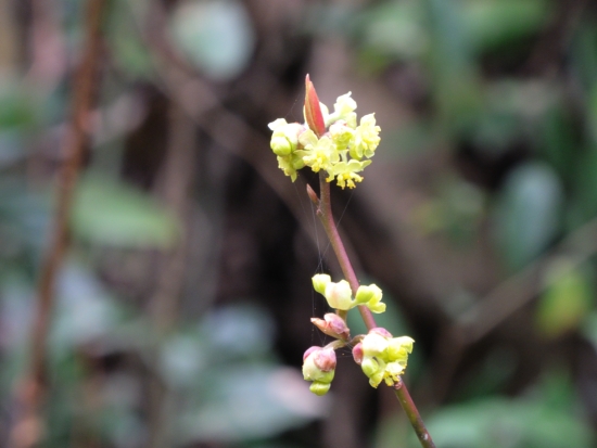 DSCN0806.JPG