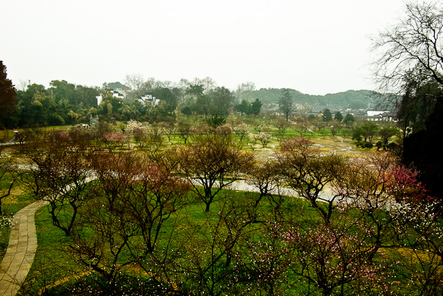 20120308-IMGP5042.jpg