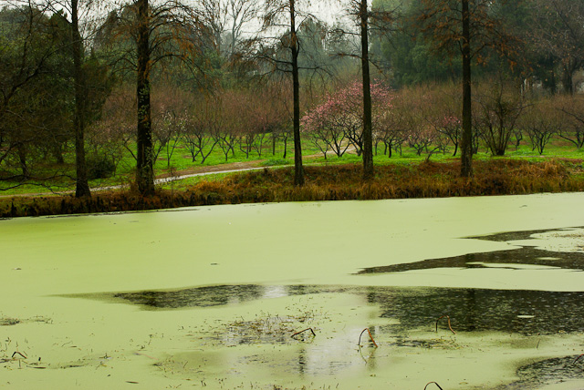 20120308-IMGP5060.jpg