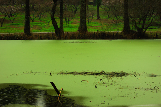 20120308-IMGP5062.jpg