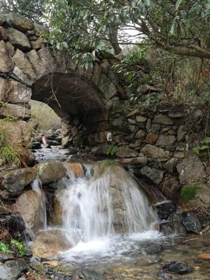 DSCN0810.JPG
