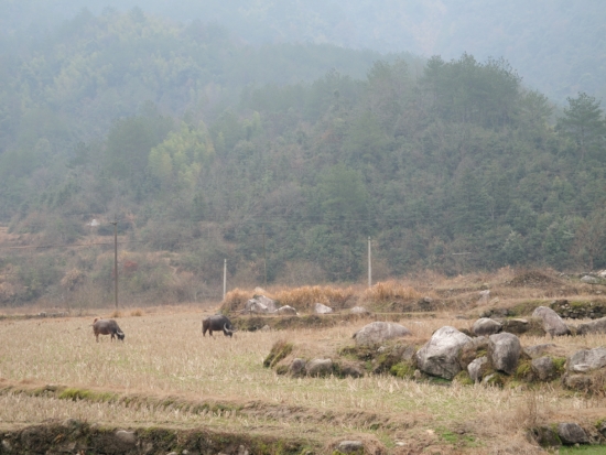 DSCN0823.JPG