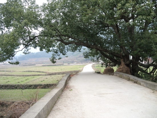 DSCN0831.JPG