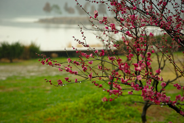 20120308-IMGP5071.jpg