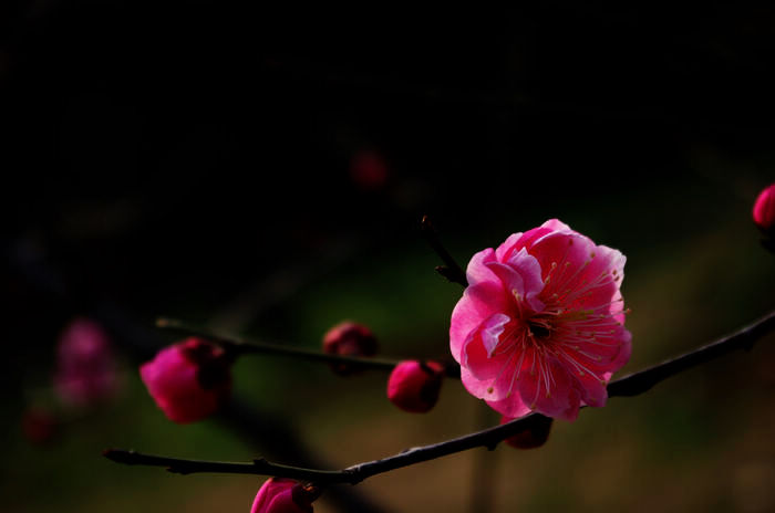IMGP6872.jpg
