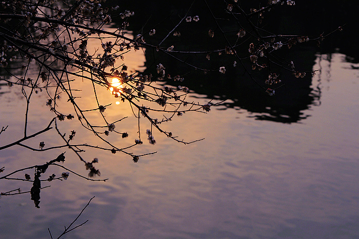nEO_IMG__MG_0139.jpg