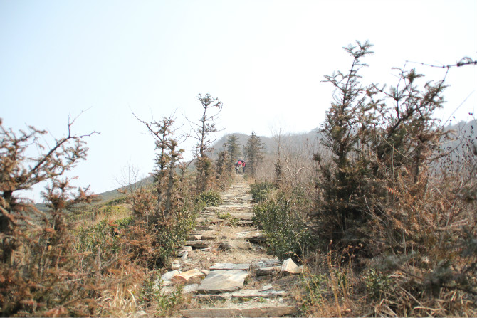 psbCA9X8932.jpg