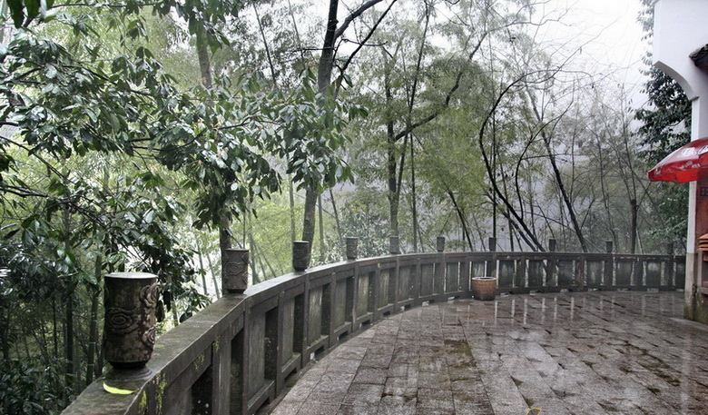 Img1333542_780.jpg