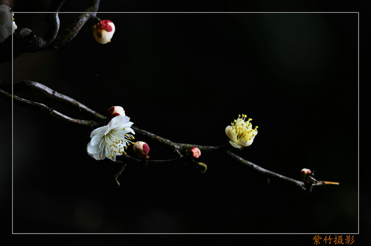 DSC_0717.jpg