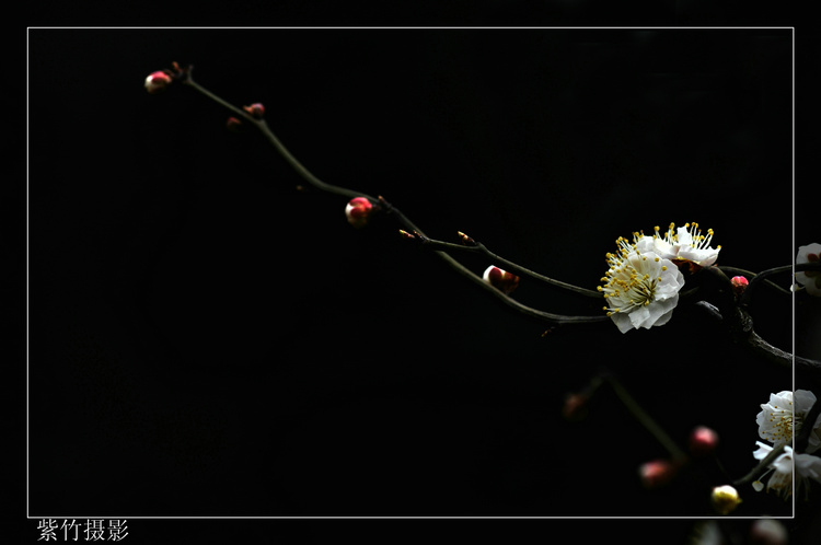 DSC_1221.jpg