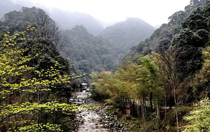 Img1338876_780.jpg