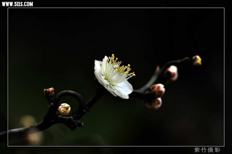 DSC_1445.jpg